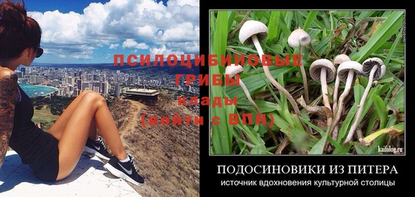 соль курить ск Володарск