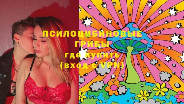 гашик Волоколамск