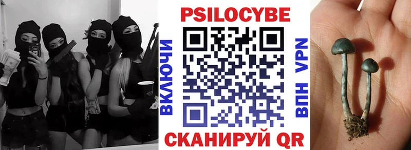 Псилоцибиновые грибы мухоморы  нарко площадка официальный сайт  Галич  MEGA ссылки 
